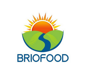 BRIOFOOD logo