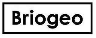 BRIOGEO logo