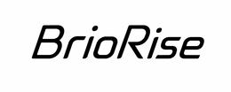 BRIORISE logo