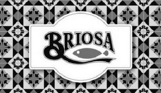 BRIOSA logo