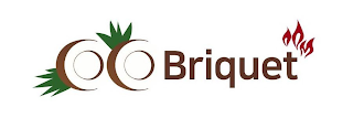 BRIQUET logo
