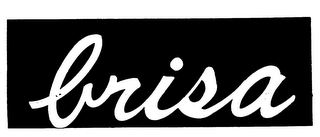 BRISA logo