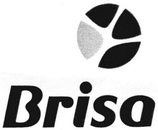 BRISA logo