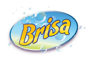 BRISA logo
