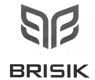 BRISIK logo