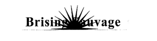 BRISING SAUVAGE logo
