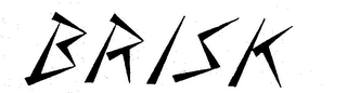 BRISK logo
