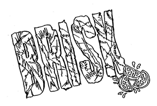 BRISK logo