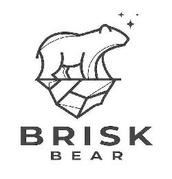 BRISK BEAR logo