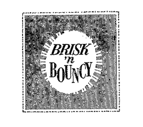 BRISK 'N BOUNCY logo