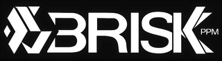 BRISK PPM logo
