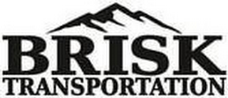 BRISK TRANSPORTATION logo