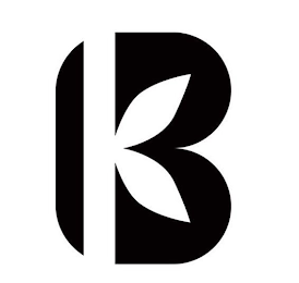 BRISKANNA logo
