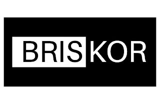 BRISKOR logo