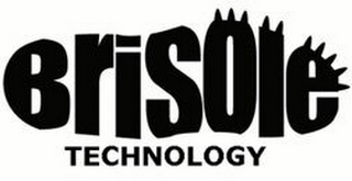 BRISOLE TECHNOLOGY logo