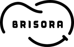 BRISORA logo