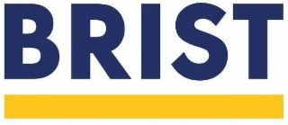 BRIST logo
