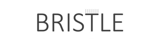 BRISTLE logo