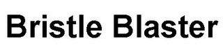 BRISTLE BLASTER logo