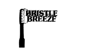 BRISTLE BREEZE logo