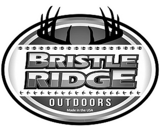 BRISTLE RIDGE OUTDOORS MADE IN THE USA logo