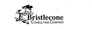 BRISTLECONE CONSULTING COMPANY logo
