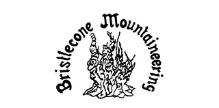 BRISTLECONE MOUNTAINEERING logo