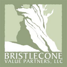 BRISTLECONE VALUE PARTNERS, LLC logo
