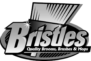 BRISTLES QUALITY BROOMS, BRUSHES & MOPS logo