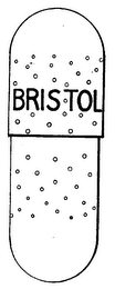 BRISTOL logo