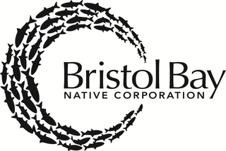 BRISTOL BAY NATIVE CORPORATION logo