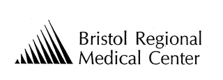 BRISTOL REGIONAL MEDICAL CENTER logo