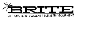 BRITE BIF REMOTE INTELLIGENT TELEMETRY EQUIPMENT logo