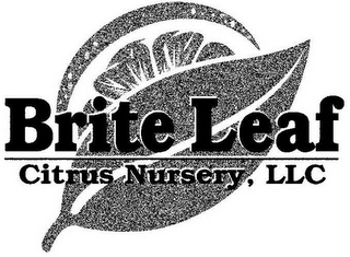 BRITE LEAF CITRUS NURSERY, LLC logo