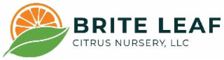 BRITE LEAF CITRUS NURSERY, LLC logo