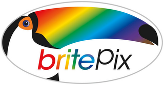 BRITEPIX logo