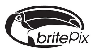 BRITEPIX logo