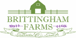 BRITTINGHAM FARMS LAVENDER & LAMBS logo