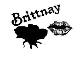 BRITTNAY logo