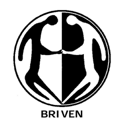BRIVEN logo