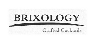 BRIXOLOGY CRAFTED COCKTAILS logo