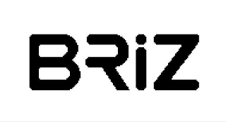 BRIZ logo