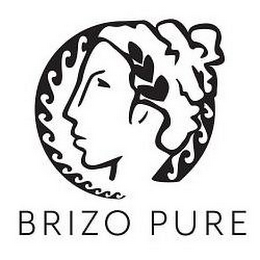 BRIZO PURE logo