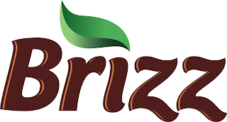 BRIZZ logo
