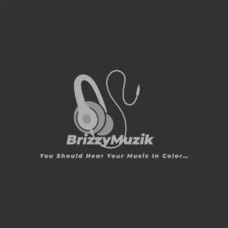 BRIZZYMUZIKYOU SHOULD HEAR YOUR MUSIC IN COLOR... logo