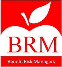 BRM, BENEFIT RISK MANAGERS logo