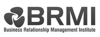 BRMI BUSINESS RELATIONSHIP MANAGEMENT INSTITUTE logo