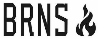 BRNS logo