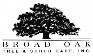 BROAD OAK TREE & SHRUB CARE, INC. logo