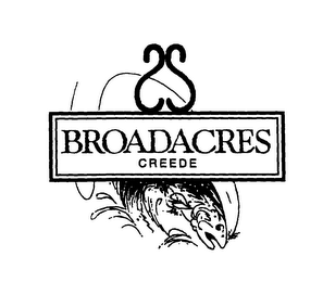BROADACRES CREEDE logo